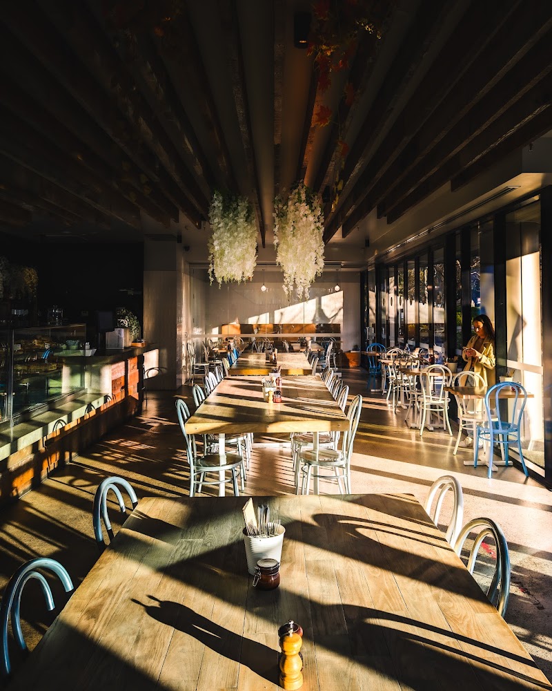 Little Collins Cafe photo 3